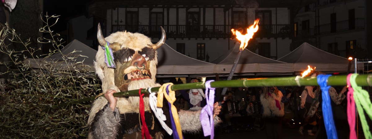 [Argazki galeria] Ihoteak | Otsailak 8